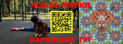 гидра Дубна