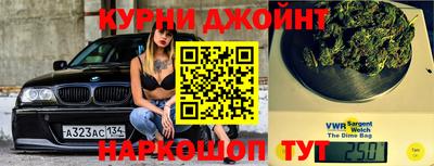 стаф Гусев