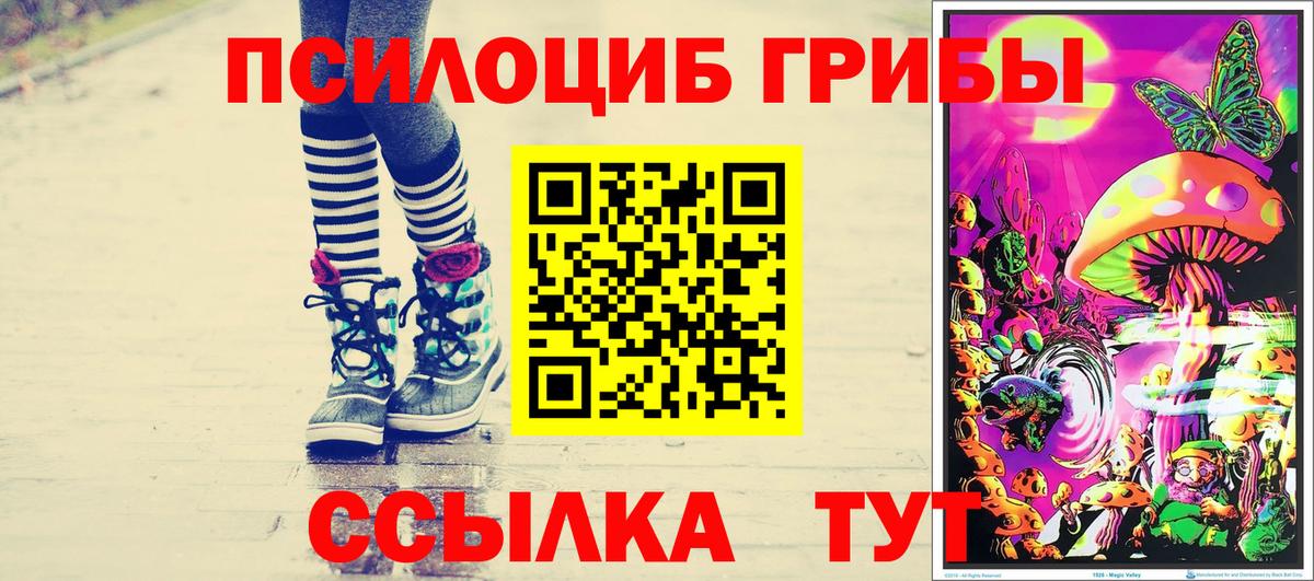 Псилоцибиновые грибы мицелий  Вход с VPN  Галлюциногенные грибы ЛСД  Назрань 