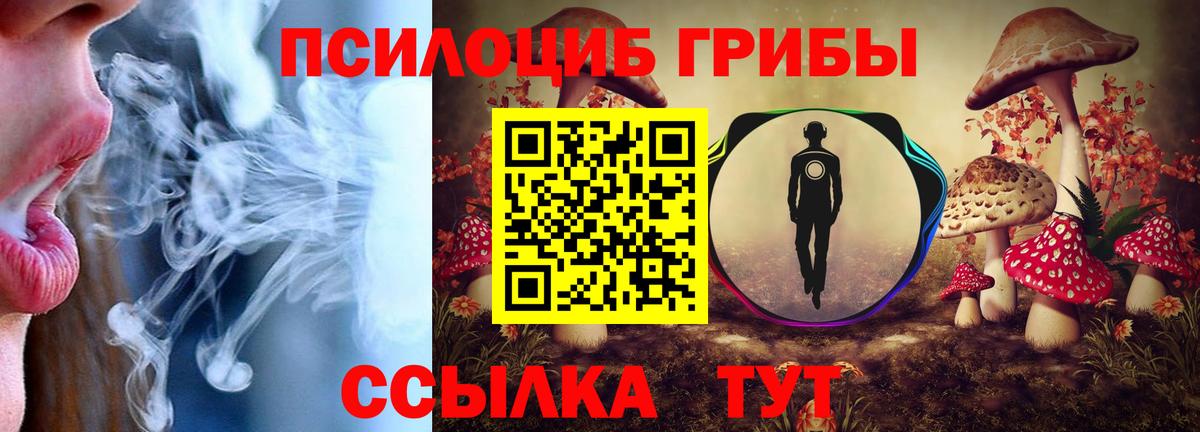 Галлюциногенные грибы GOLDEN TEACHER Назрань