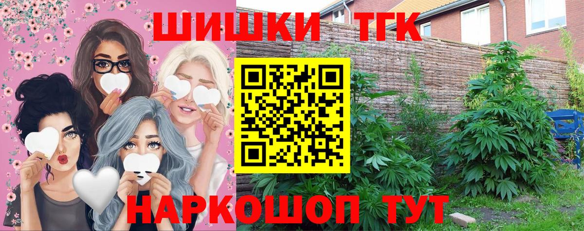Шишки марихуана конопля  МАРИХУАНА планчик  Назрань  Вход с VPN  Конопля Bruce Banner  Шишки марихуана тримм 